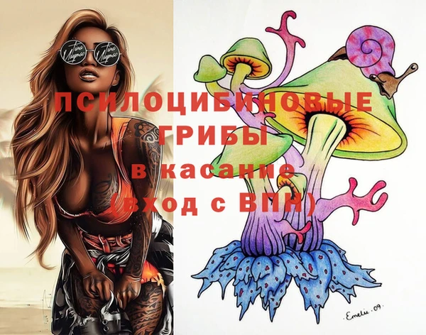 бошки Баксан