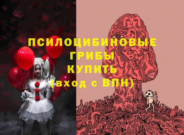 Альфа ПВП Балахна