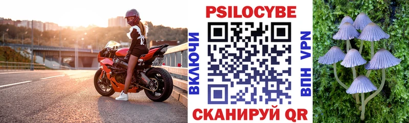 мега ССЫЛКА  Иноземцево  Псилоцибиновые грибы Psilocybe 